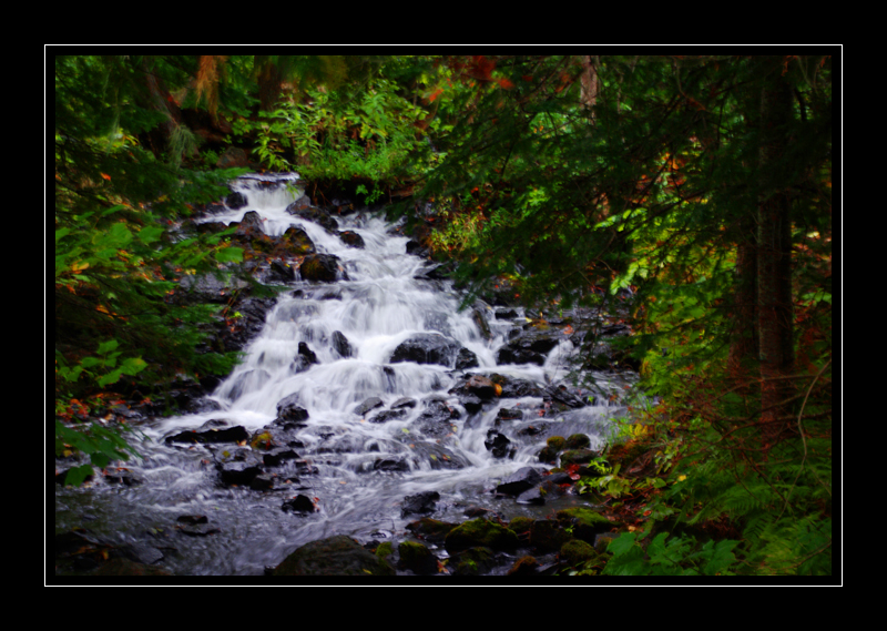 Jasper Creek