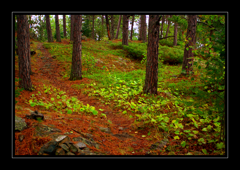 Secret Blackstone Trail